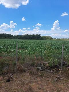 Image 6 - 179854