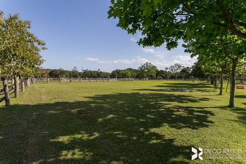 Image 25 - 181926