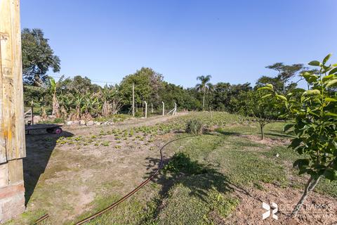 Image 50 - 181926