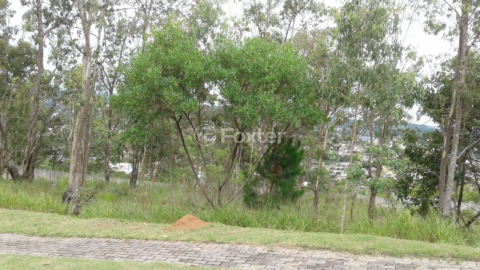 Image 77 - 183048