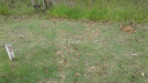 Image 78 - 183048