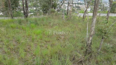 Image 79 - 183048