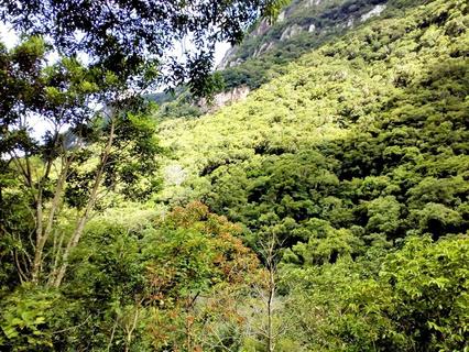 Image 6 - 183358