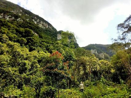 Image 2 - 183358