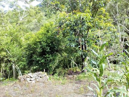 Image 7 - 183358