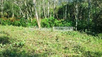 Image 5 - 183358