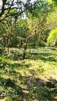 Image 4 - 183358