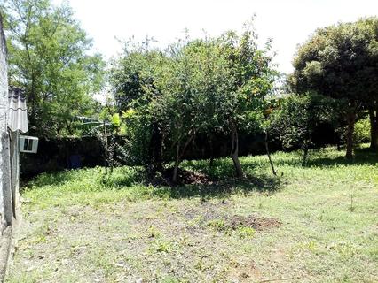 Image 36 - 184344