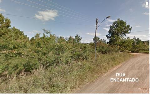 Image 7 - 184473