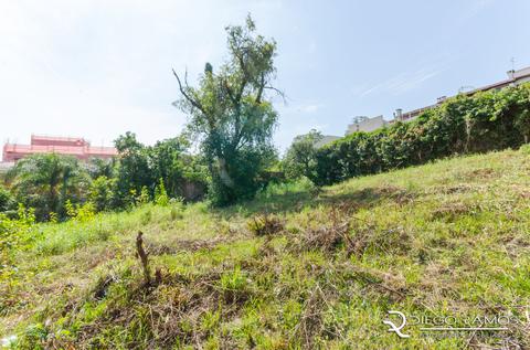 Image 8 - 184942
