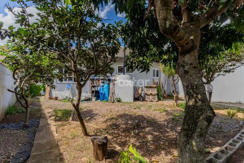 Image 11 - 186470