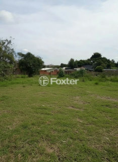 Image 13 - 188217