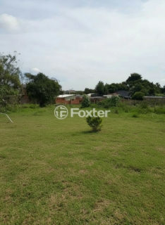 Image 11 - 188217