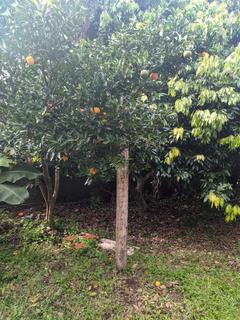 Image 4 - 193995