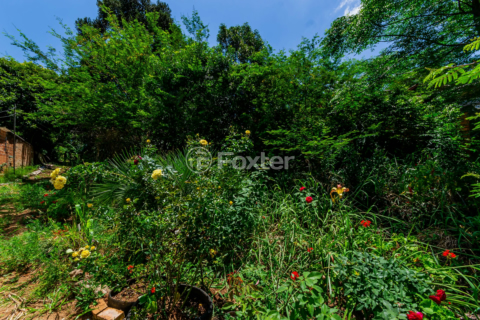 Image 3 - 194445