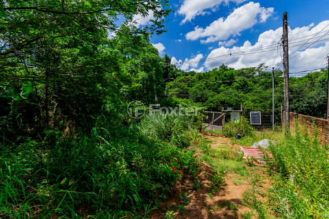 Image 4 - 194445