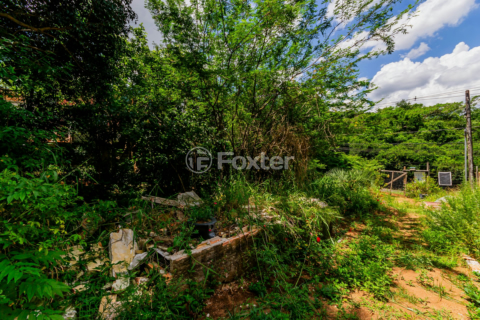 Image 5 - 194445