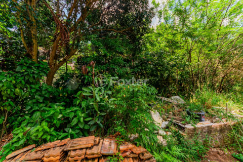 Image 6 - 194445