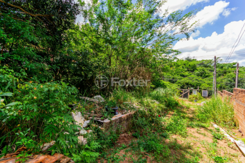 Image 7 - 194445