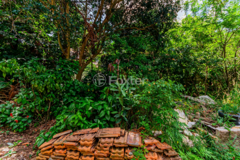 Image 8 - 194445