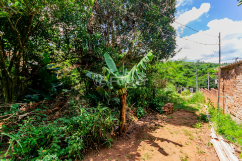 Image 9 - 194445