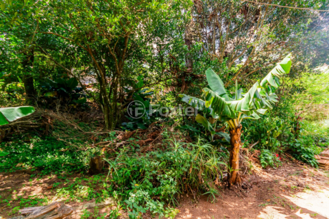 Image 10 - 194445
