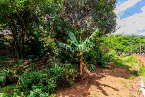 Image 11 - 194445