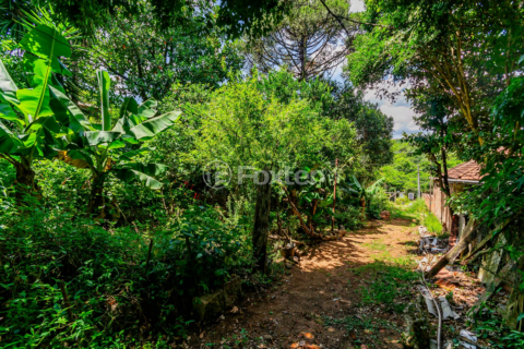 Image 13 - 194445