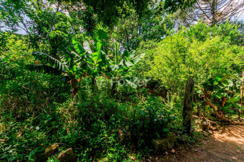 Image 14 - 194445