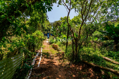 Image 16 - 194445