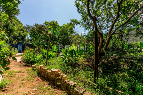 Image 17 - 194445