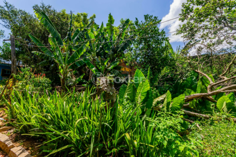 Image 19 - 194445