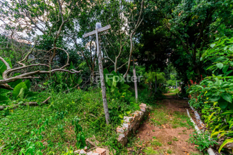 Image 39 - 194445