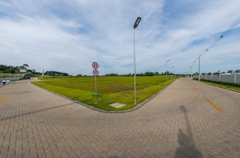 Image 1 - 195503
