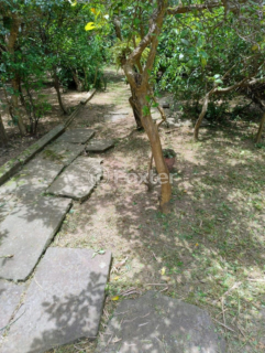 Image 31 - 199690