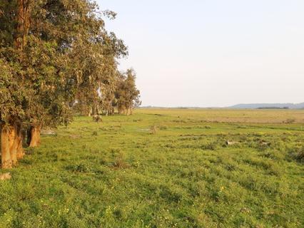 Image 4 - 203490