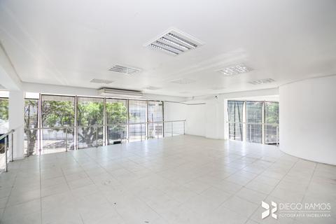 Image 36 - 203603