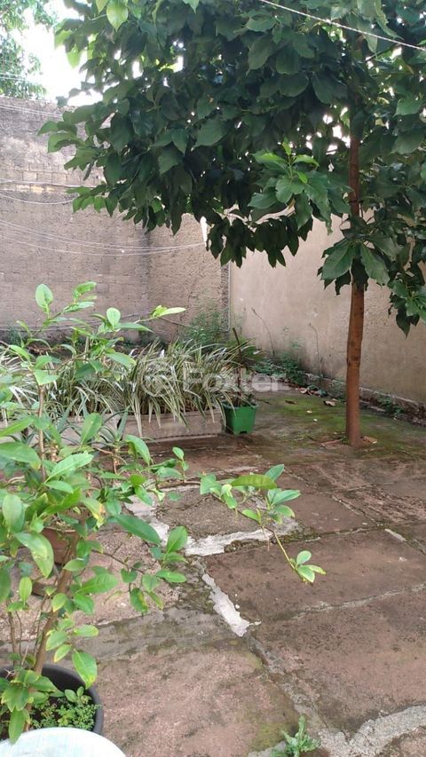 Image 15 - 205547