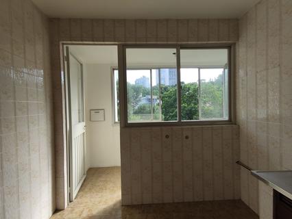 Image 42 - 206013