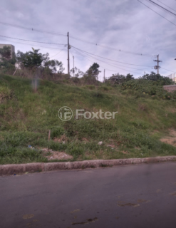 Image 7 - 206195
