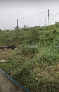 Image 4 - 206195