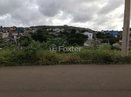 Image 3 - 206195