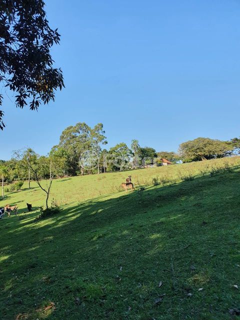 Image 7 - 206416