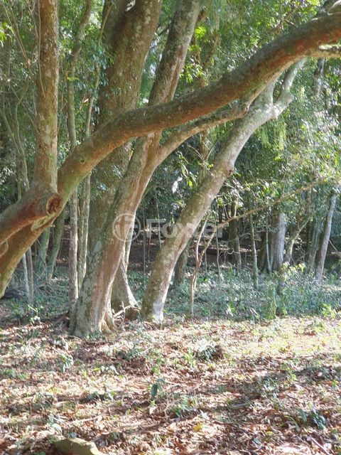 Image 13 - 206416