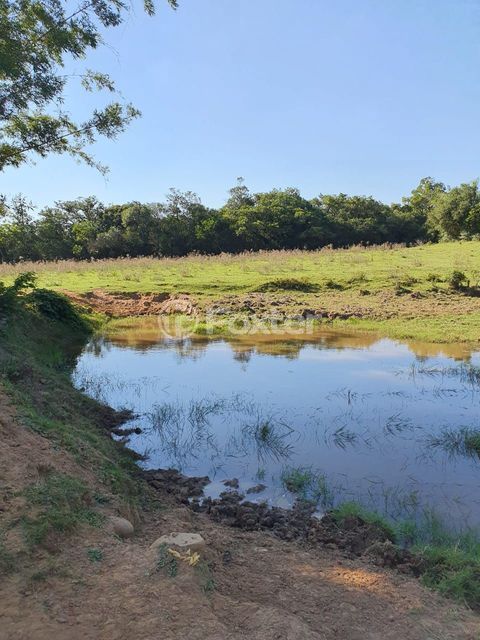 Image 10 - 206416
