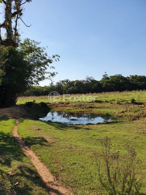 Image 9 - 206416