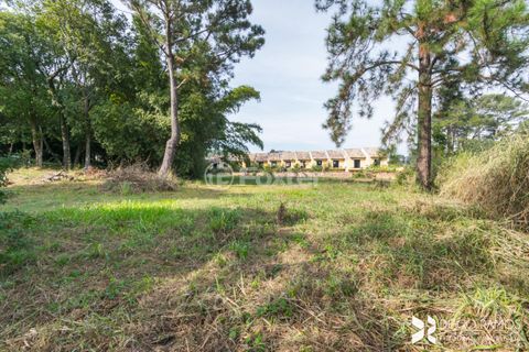 Image 37 - 207111