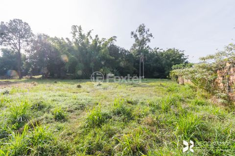 Image 38 - 207111