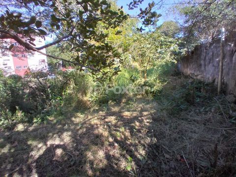 Image 10 - 208441