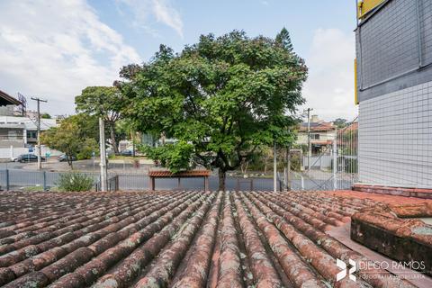 Image 31 - 208549